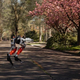 Image for article titled Almost Anyone Could Outrun This Bipedal Robot in a 5K—For Now